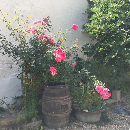 Aux Caprices Des Dieux 住宿加早餐酒店 Marnes